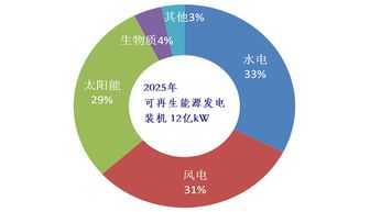 周建平 推動兩個替代，大力發展可再生能源技術咨詢